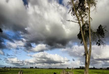 KY体育-拉力赛预选赛上演强强对话，辽东貔貅队逆转皖江灰熊队，团队配合流畅；黑马成最大惊喜的简单介绍